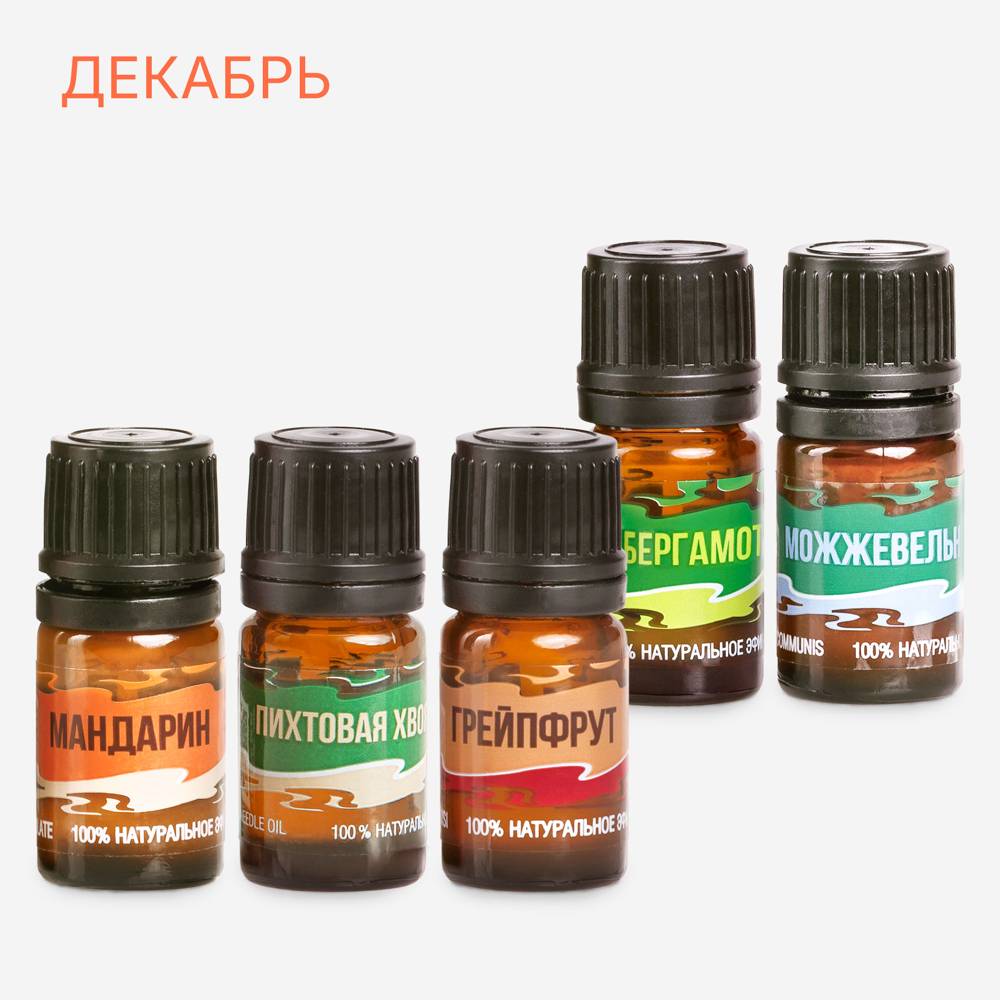 Набор «Накануне нового года» Хвойный лес дома — продукт Глорион